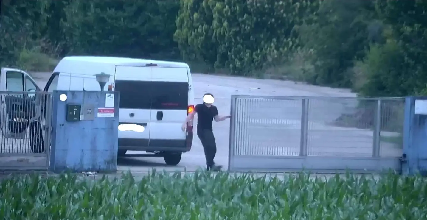 1776322351153 fhost jpg