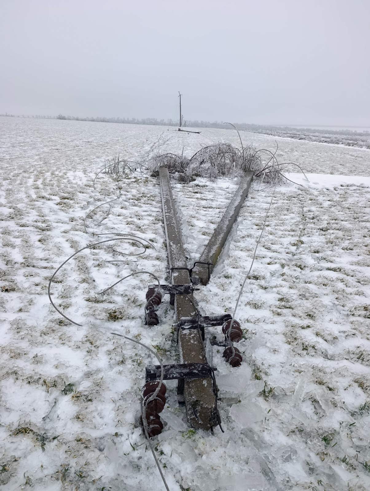 Premier Energy anunță avarii în rețelele electrice din cauza chiciurii. 15 localități rămân fără curent