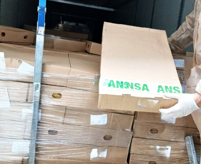 FOTO // Blocată la frontieră! 21 tone de carne de pui de import va fi returnată producătorului