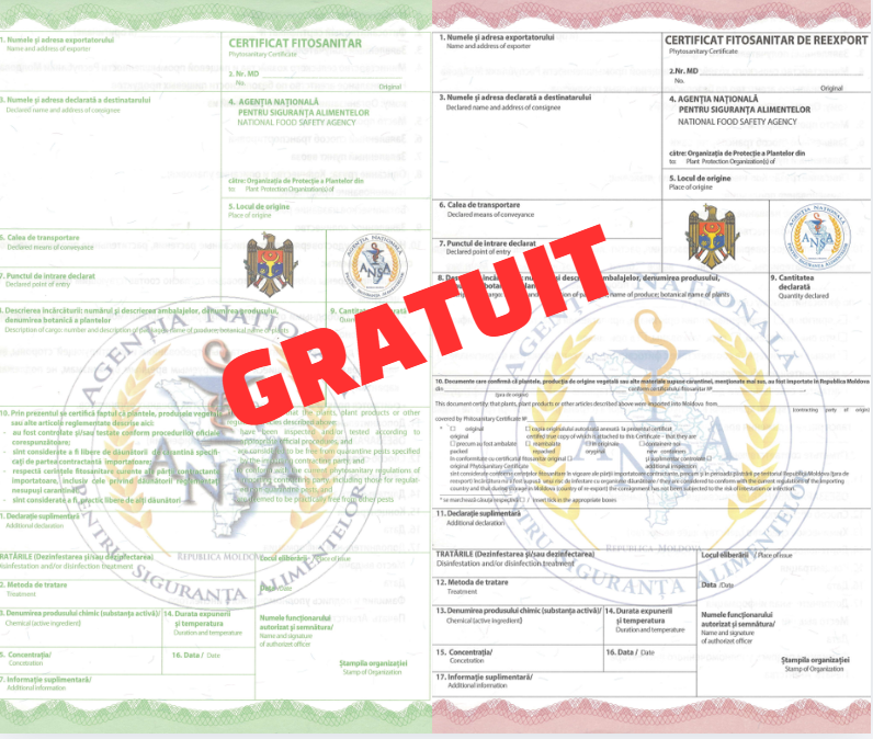 Veste bună pentru exportatori! Certificatele fitosanitare devin gratuite
