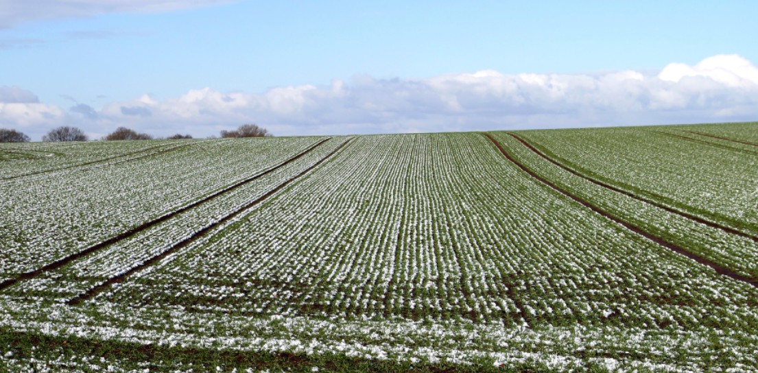 În premieră, riscurile din sectorul agricol vor fi evaluate în cadrul unui studiu național