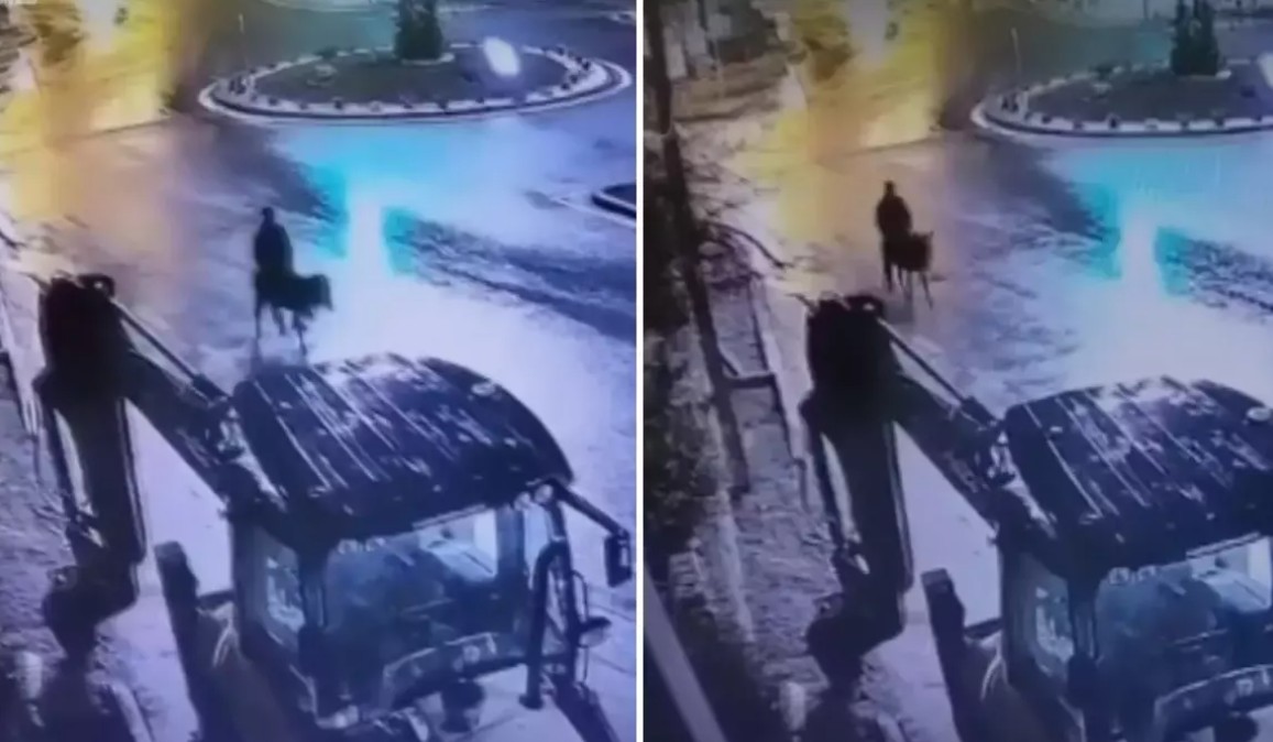 Jaf mai puțin obișnuit: Un individ a spart un magazin de bijuterii apoi a fugit călare pe un măgar