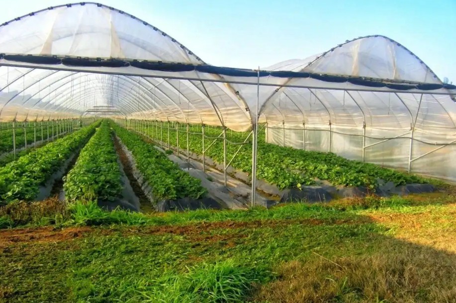 Fermierii pot obține granturi pentru modernizarea exploatațiilor agricole