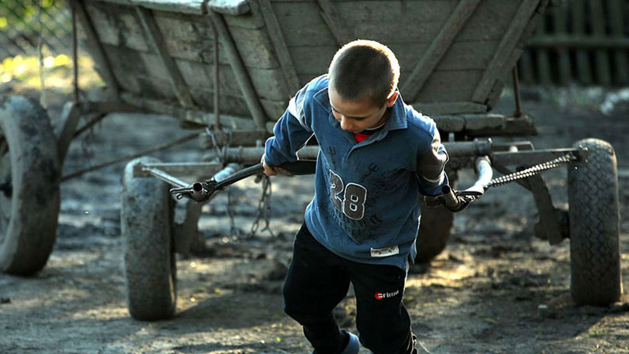 Copii ținuți în condiții inumane și puși la muncă pe câmp. Un bărbat din Ștefan Vodă, condamnat la ani grei de închisoare