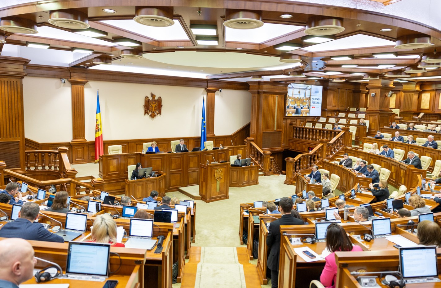 Daniella Misail-Nichitin, pregătită să vină în Parlament la raport: Este o procedură obișnuită