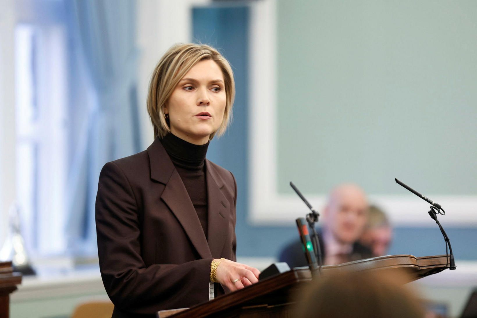 Islanda va organiza în acest an un referendum pentru aderarea la UE