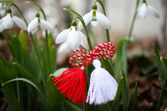 Mărțișor în piept de 1 martie: simbol al trecerii dintre anotimpuri și tradiții de purtare