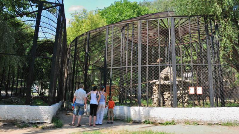 Animalele aduse la grădinile zoologice din Moldova vor fi incluse într-un registru electronic