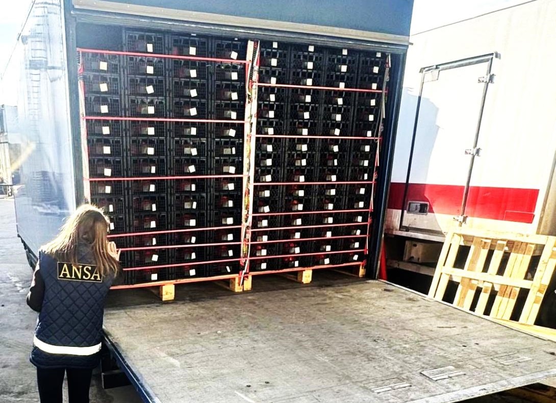 FOTO // Aproape 20 de tone de rodii cu pesticide, nimicite de ANSA