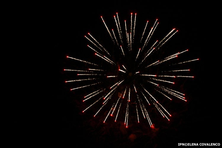 Avocatul poporului propune un șir de restricții la utilizarea artificiilor