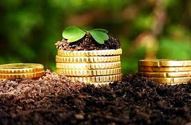 Rețeaua de informații contabile agricole va fi completată cu date ecologice și sociale