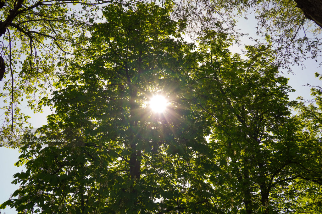 Vreme caldă în următoarele zile: 18 grade și fără precipitații
