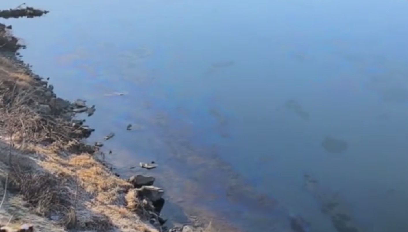 Alertă pe Nistru! Pete uleioase observate în râu. Ministerul Mediului a prelevat probe de apă