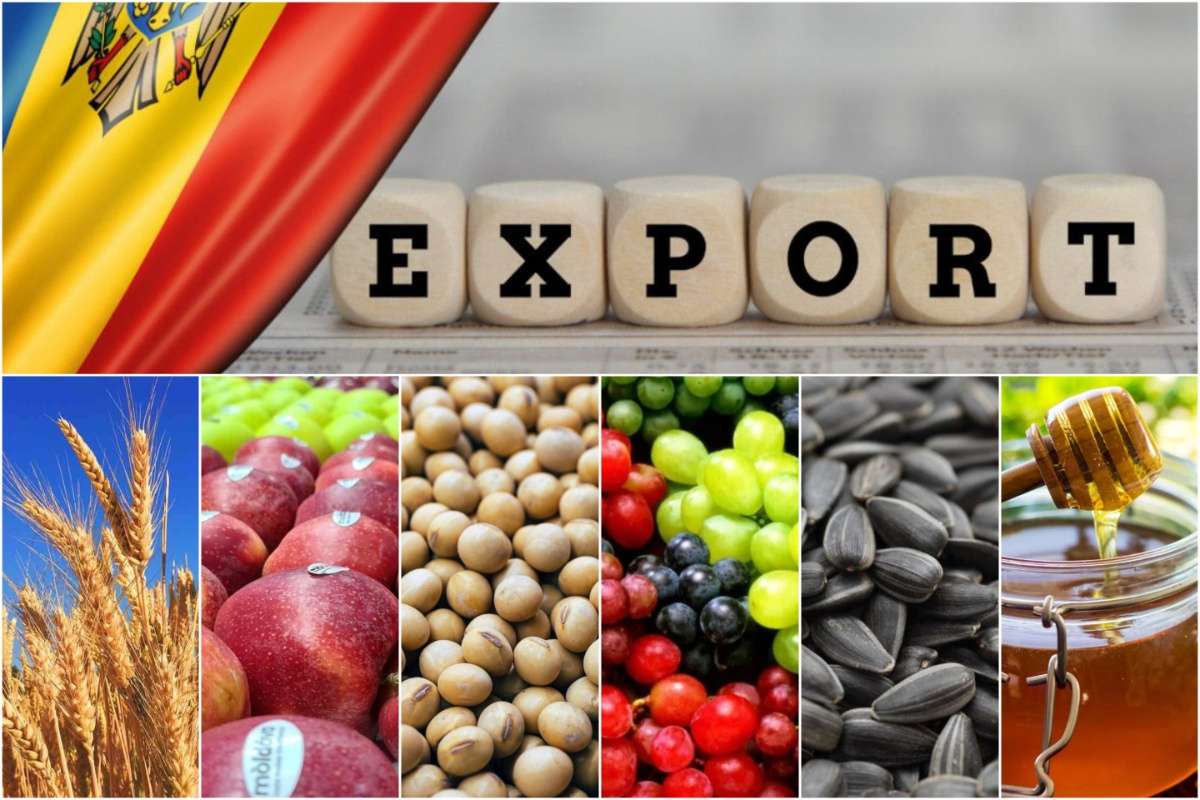 Exporturile agro-alimentare au crescut cu 14% în 2025, după trei ani de scădere