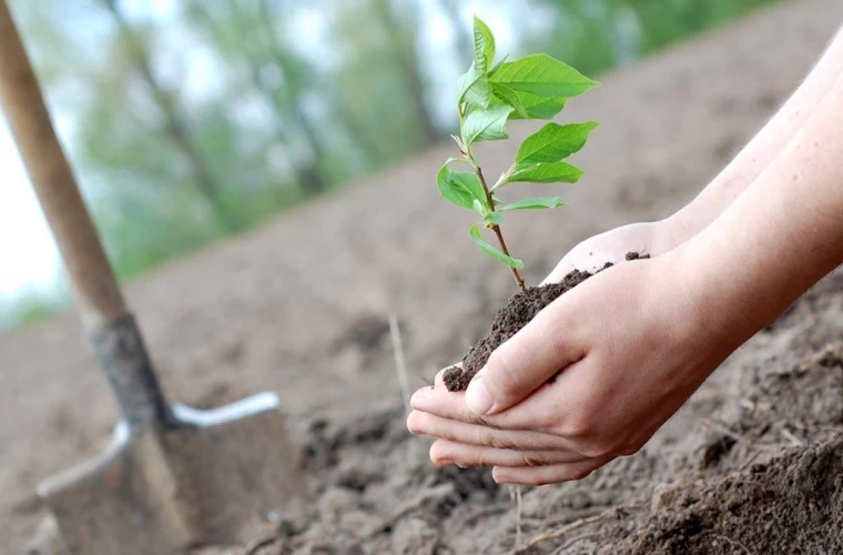 Campania de plantare „Primăvara 2026” a fost lansată pe ambele maluri ale Prutului