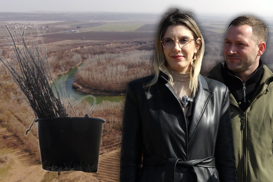 VIDEO // „Pădurea Unirii”, plantată la Sculeni