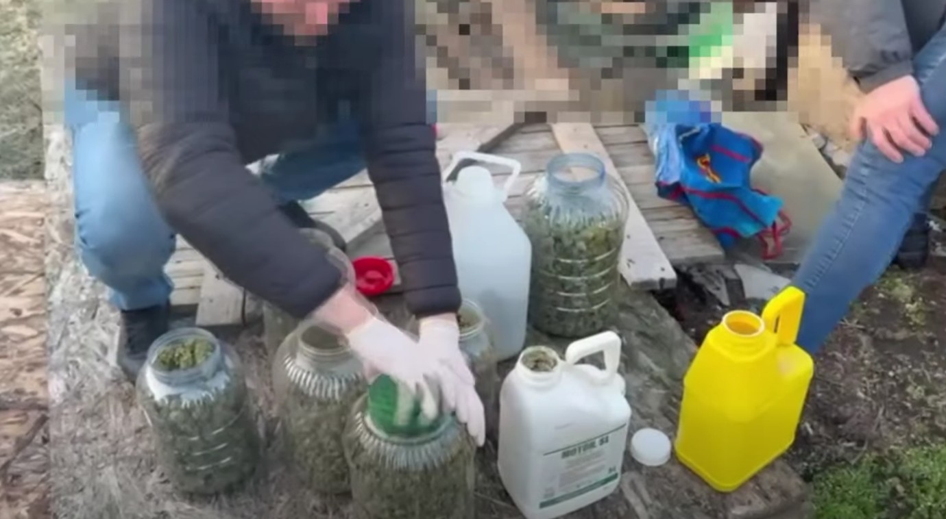 VIDEO // Fermă de bovine, transformată în „fabrică” de droguri. Peste 40 kg de marijuana, depistate în Anenii Noi