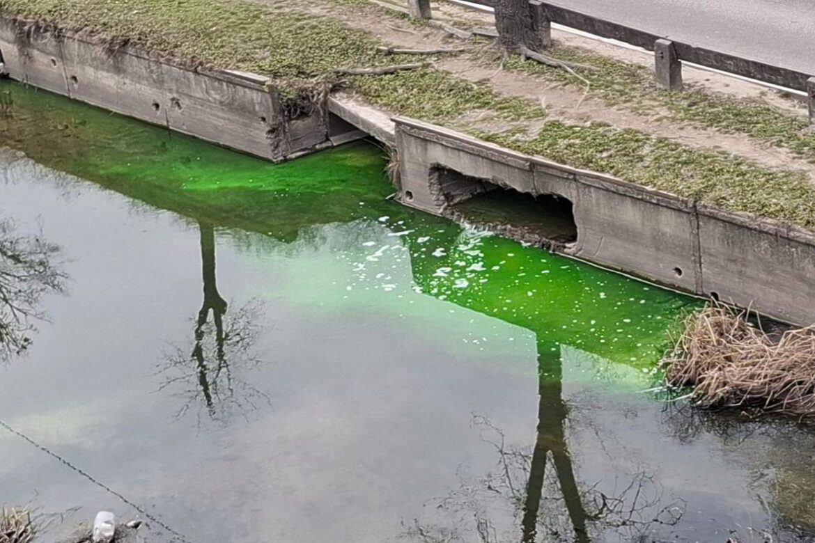 Pete de culoare verde în râul Bâc. Precizările Inspectoratului pentru Protecția Mediului