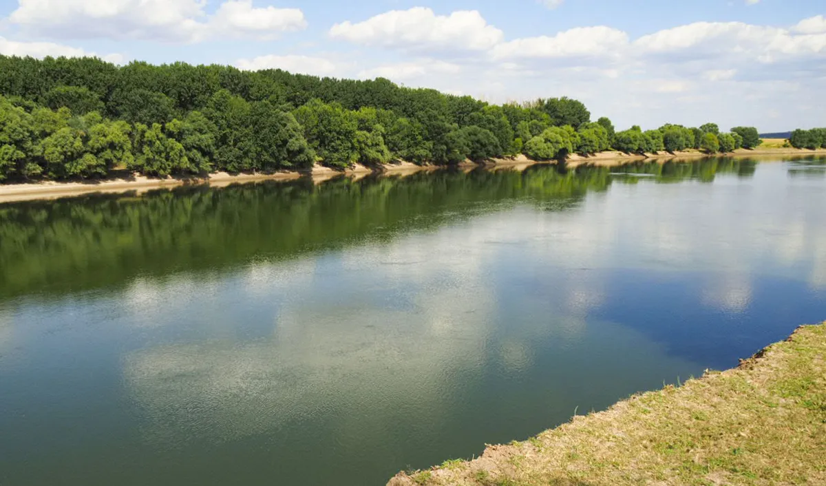 Poluanții din Nistru pot afecta lanțul trofic, avertizează ecologiștii