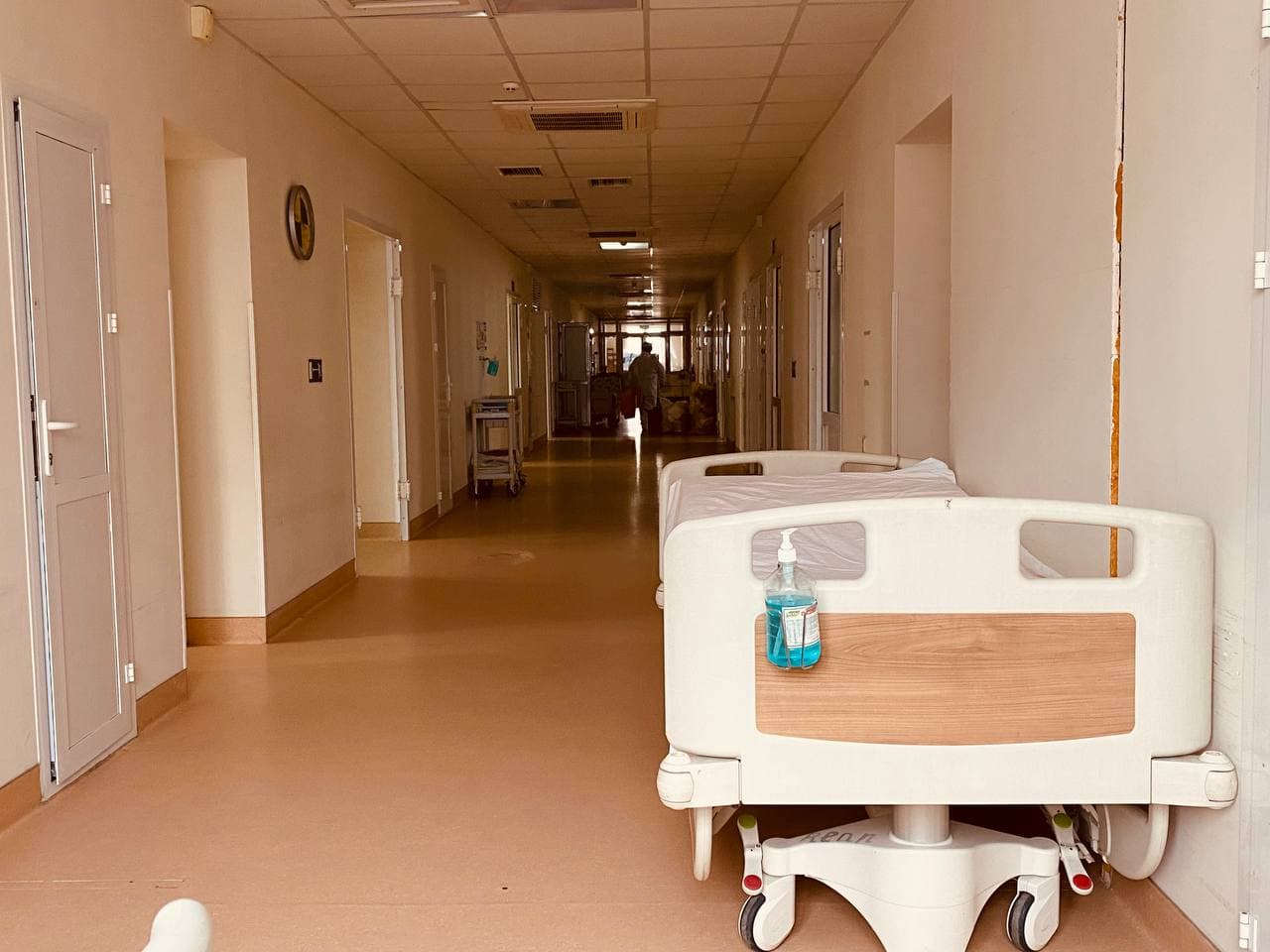 Ludmila Vartic nu ar fi avut tentativă de suicid anterior. Poliția s-a autosesizat