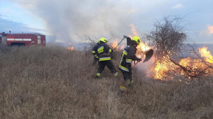 Focul a distrus peste 60 de hectare de teren în ultimele zile