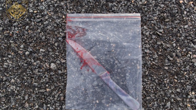 Dublu omor la Nisporeni // Un bărbat, trimis după gratii după ce și-a ucis la beție cumnata și nepoata