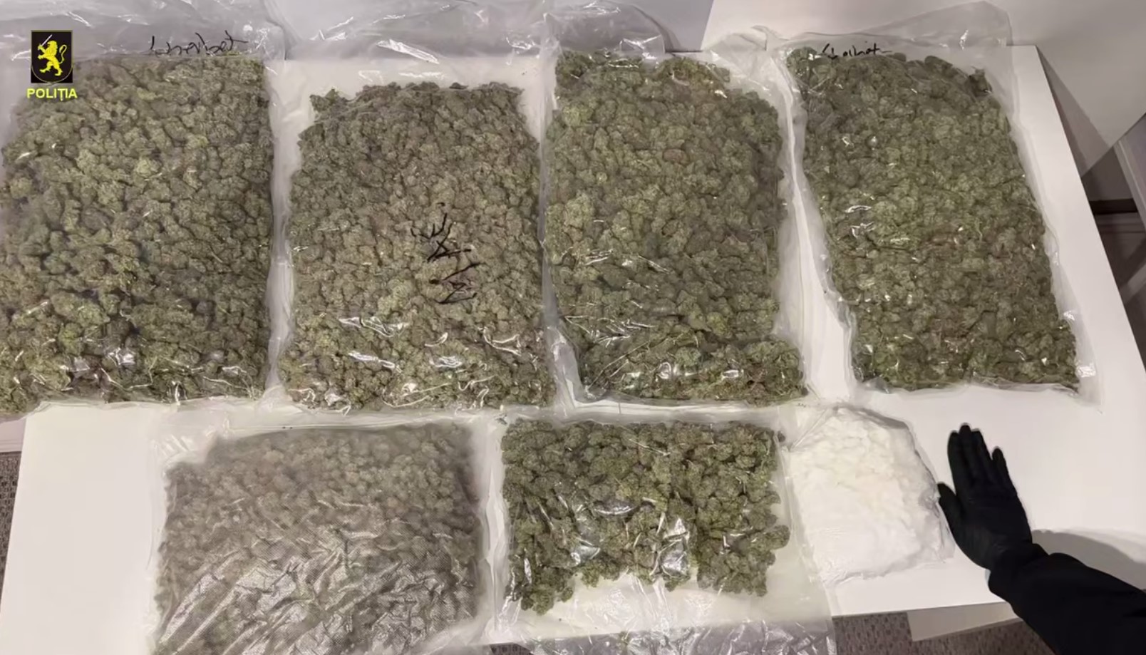 Droguri în valoare de 10 milioane lei, ridicate de polițiștii capitalei. Opt tineri, cercetați penal