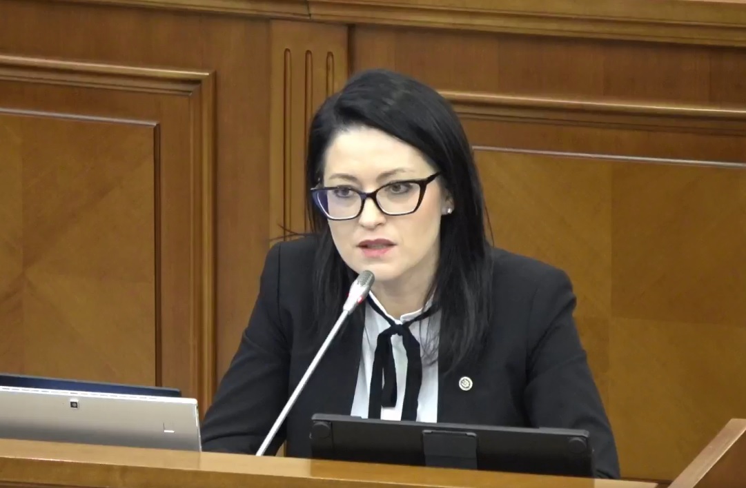 Ministrul Muncii, Natalia Plugaru: Evoluțiile demografice din Moldova reflectă tendințele europene