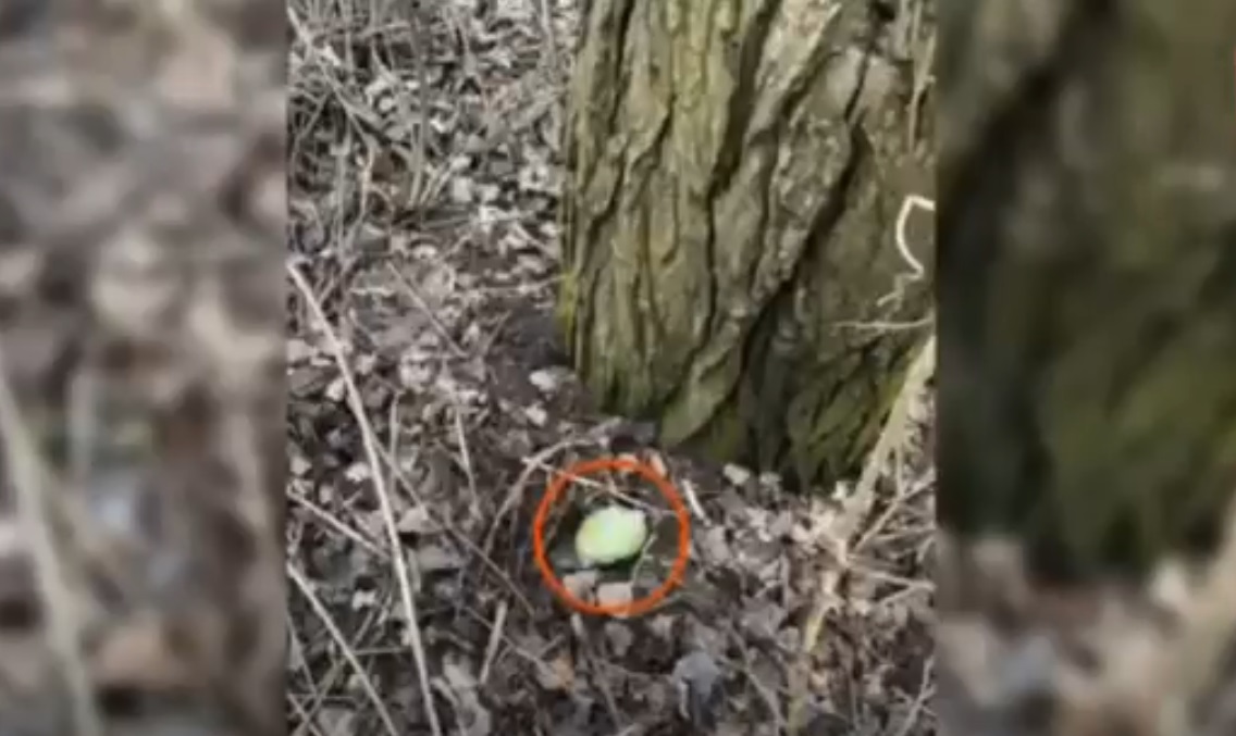 VIDEO // Reținut în flagrant! Un tânăr, prins cu 210 pachețele de hașiș chiar în timp ce le plasa în ascunzișuri