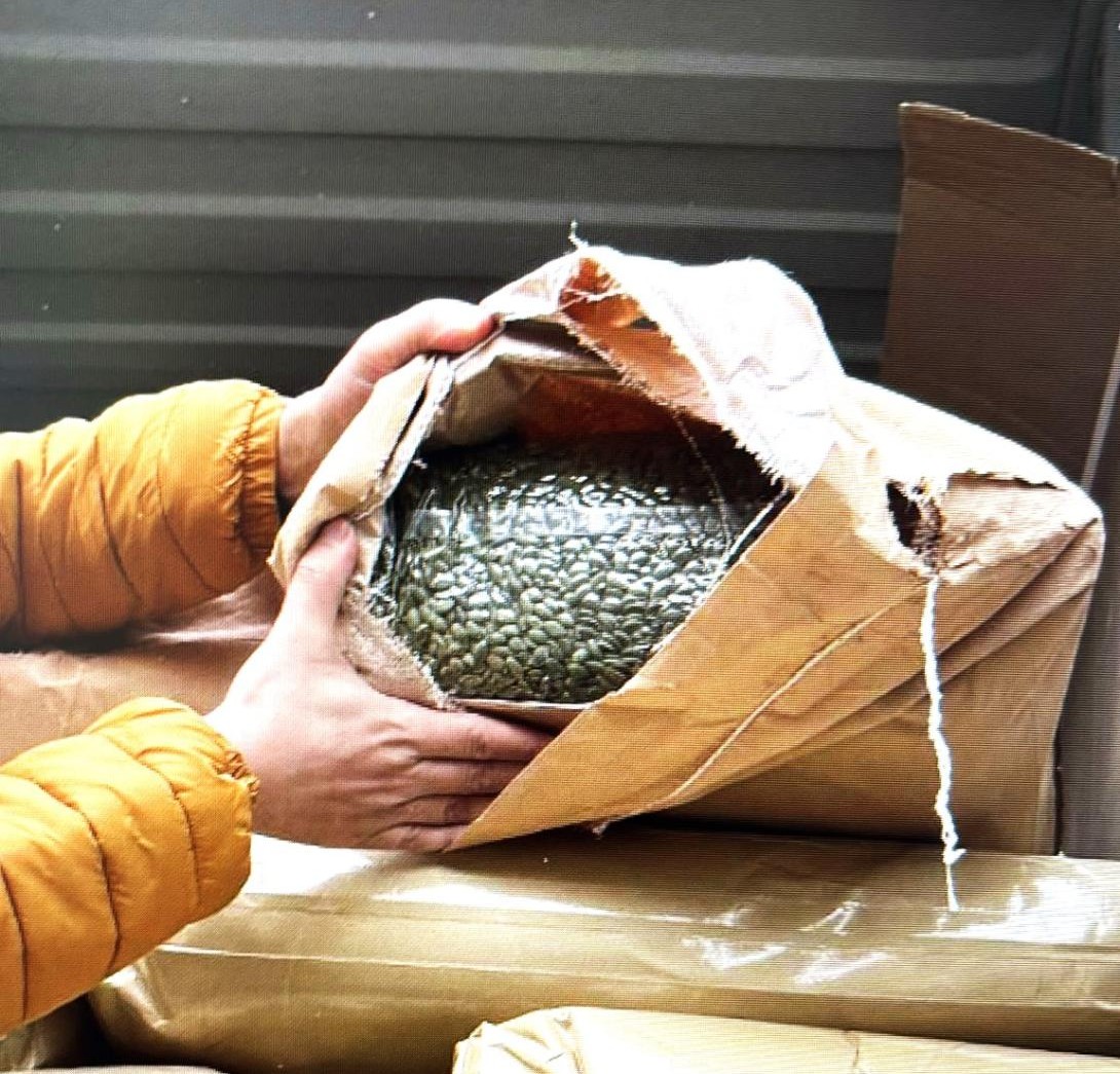 Peste 15 tone de semințe de dovleac, retrase la frontieră după depistarea unor pesticide