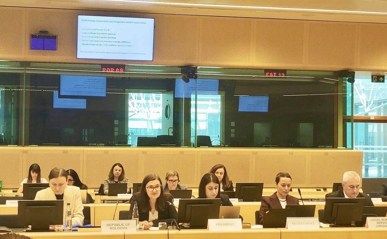 Cristina Gherasimov, la ședința Grupului de lucru pentru extindere: Continuăm să muncim și să ne integrăm, practic, în spațiul economic european