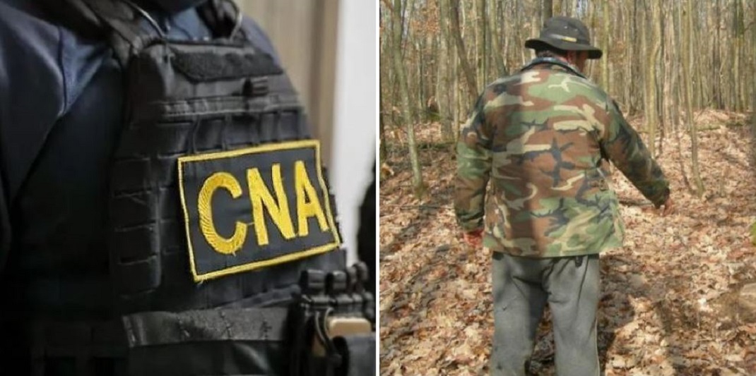 Posturi de pădurar, „negociate” cu 5.000–8.000 de euro. Doi suspecți, cercetați de CNA