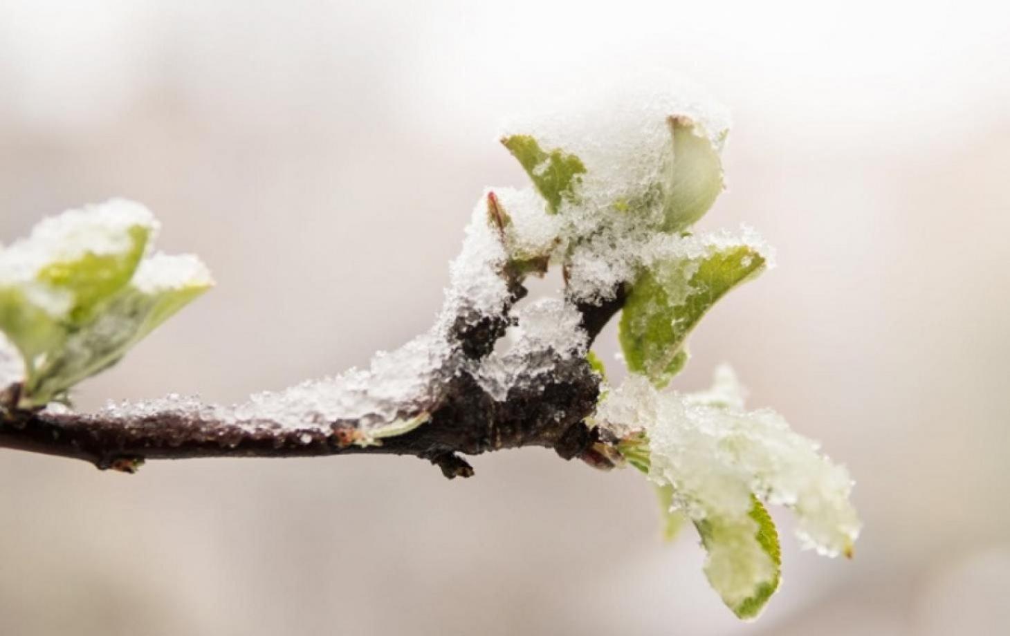 Atenție! Cod galben de înghețuri în centrul și nordul R. Moldova