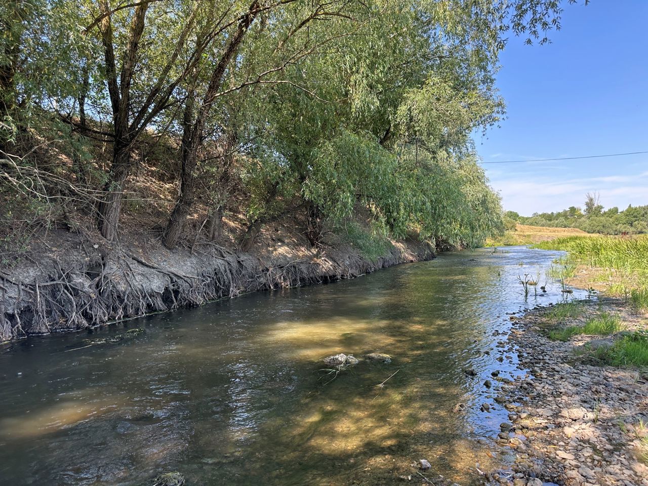 Râul Răut, poluat cu o substanță suspectă în preajma localității Pohorniceni