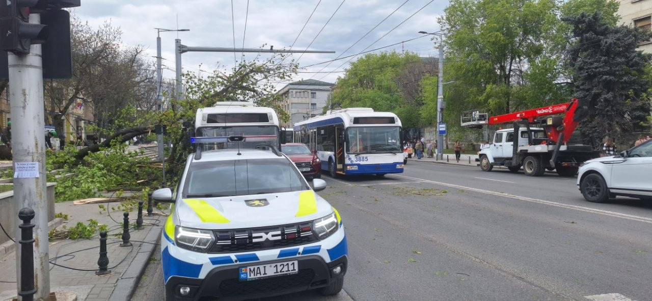 O creangă s-a prăbușit peste un troleibuz, la Chișinău