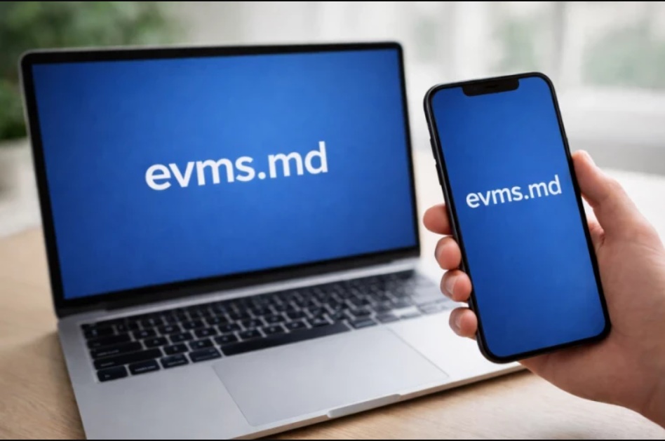 Peste 131,5 de milioane de lei investiți în aprilie în obligațiuni de stat, prin eVMS.md