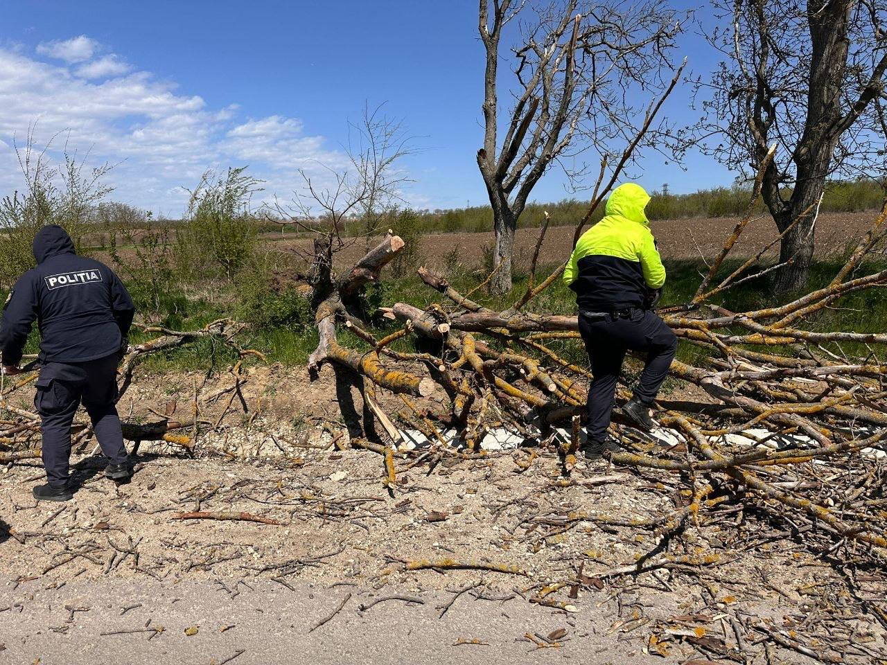 COD PORTOCALIU DE VÂNT // 232 de incidente, cinci persoane rănite și zeci de intervenții în desfășurare