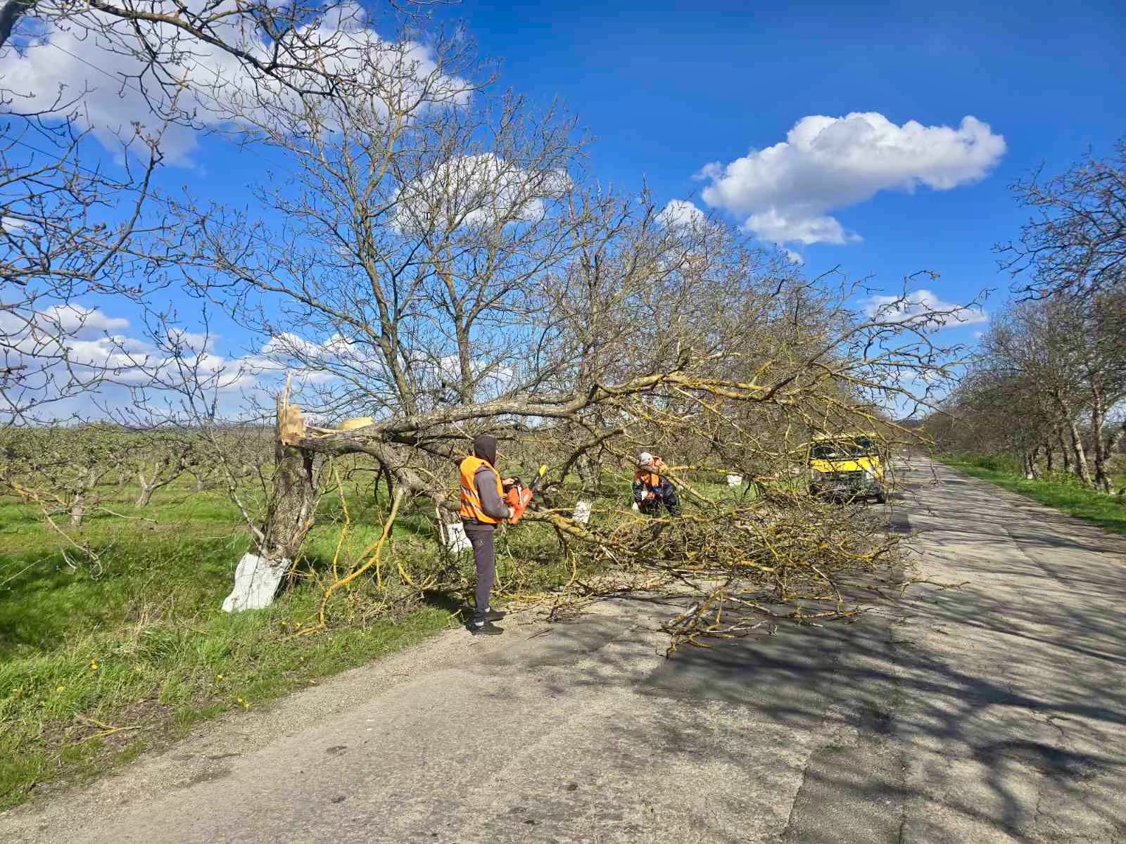 FOTO // 16 sectoare de drumuri, afectate de vântul puternic din ultimele zile