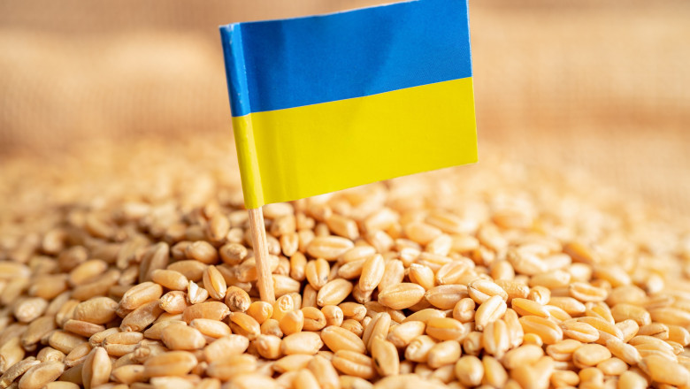 Israelul a refuzat să primească cerealele transportate de Rusia din teritoriile ocupate, după protestul Kievului