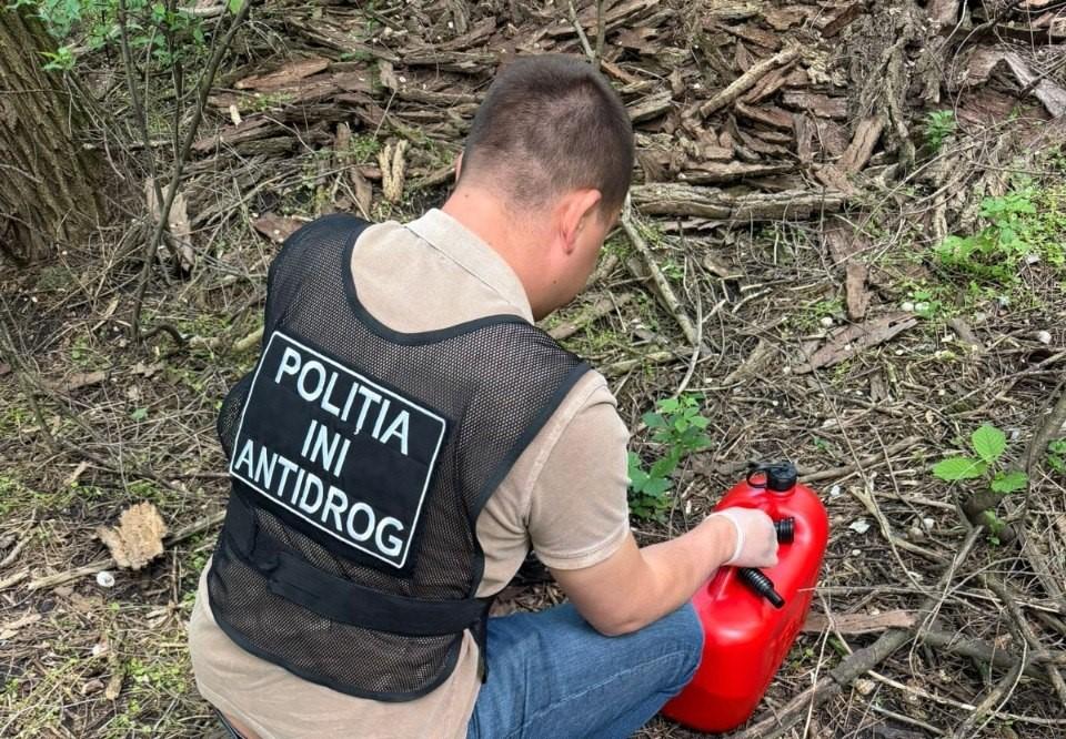 VIDEO // A adus droguri în valoare de milioane de lei din Polonia. Un moldovean, reținut de oamenii legii