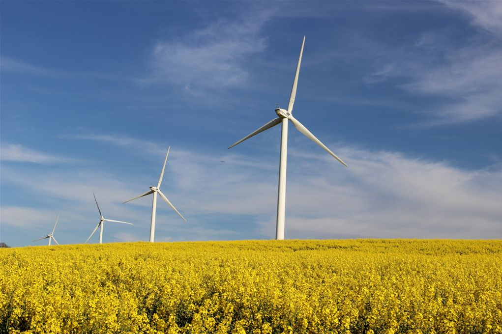 Veaceslav Ioniță: R. Moldova înregistrează rezultate record în sectorul energiei regenerabile