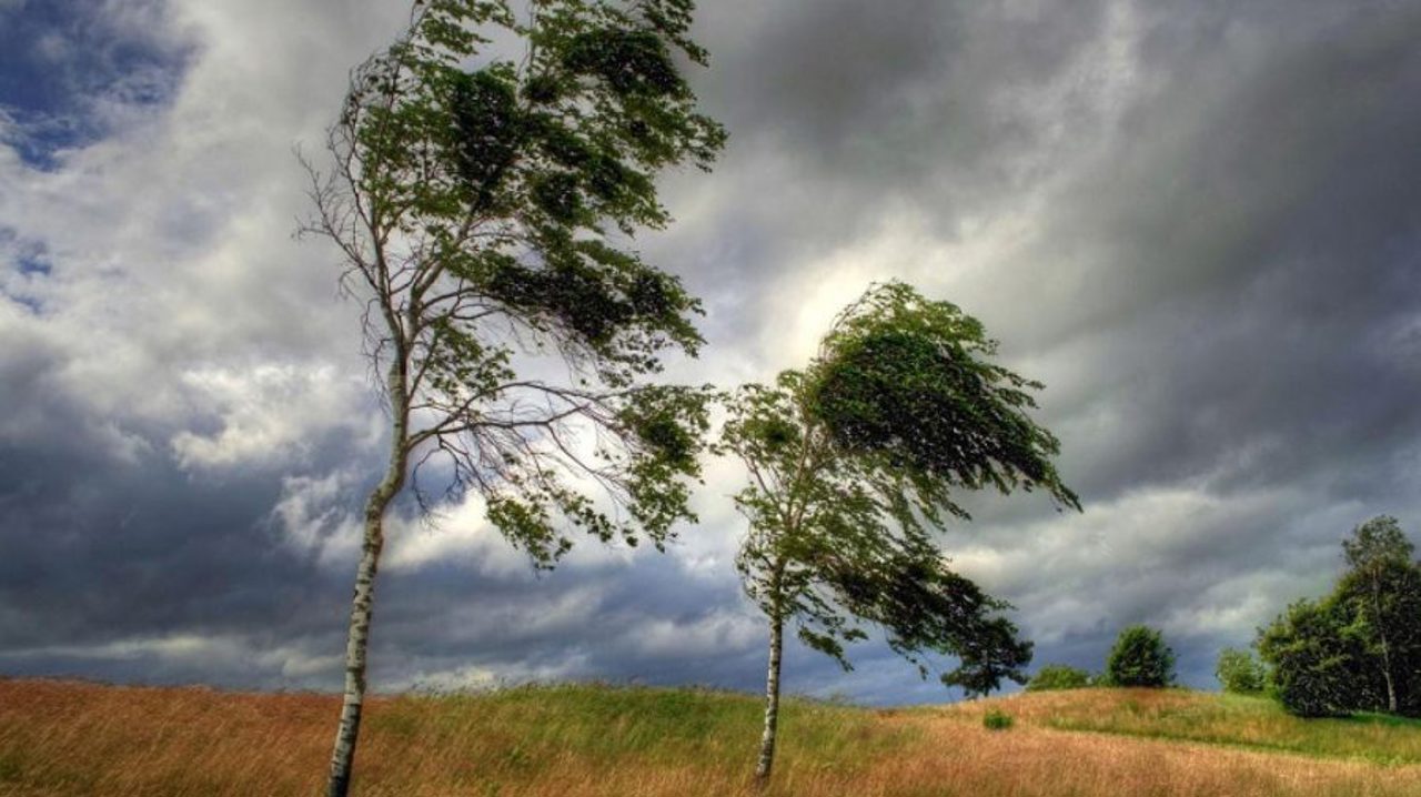 Vânt puternic în R. Moldova. Meteorologii au emis Cod galben