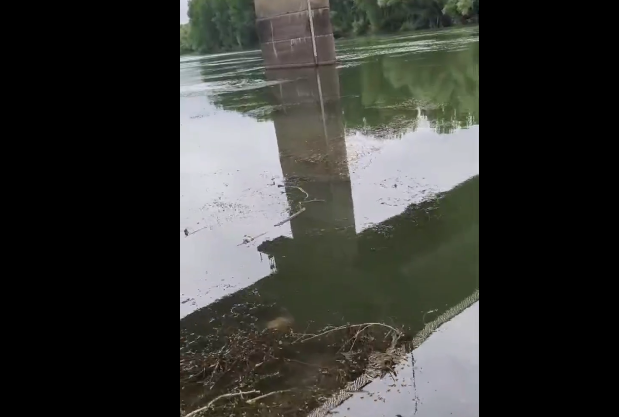 VIDEO // Alertă la Vadul lui Vodă. Autoritățile desfășoară verificări după semnalarea unor noi pete de poluare pe Nistru