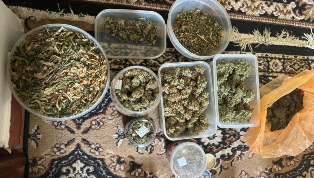 Un laborator pentru creșterea marijuanei, depistat la Vadul lui Vodă. Două persoane, cercetate penal