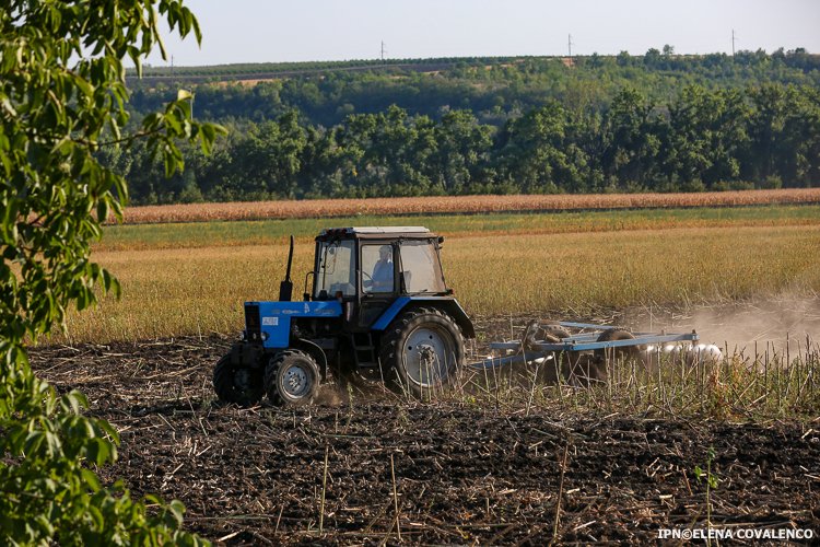 Peste 61 de milioane de lei, autorizați în iunie pentru compensarea accizei la motorină