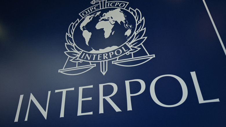 Operațiune Interpol în România și alte 96 de state împotriva fraudelor bazate pe inginerie socială. Peste 5.800 de persoane arestate