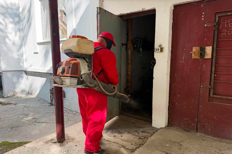 Subsolurile a 2 500 de blocuri din Chișinău vor fi tratate împotriva rozătoarelor și insectelor