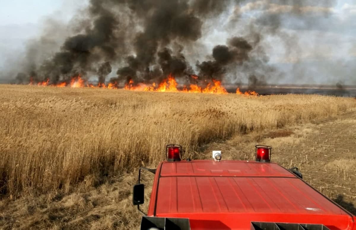 Incendiu de vegetație în raionul Telenești. 22 de hectare de grâu și miriște au fost distruse de flăcări