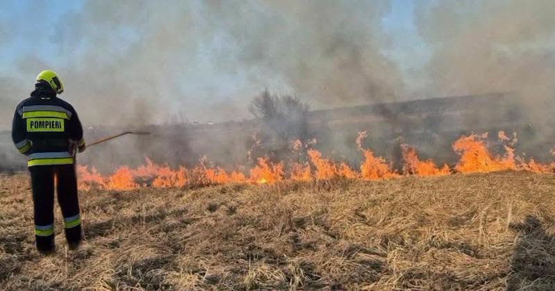 Peste 20 de hectare de vegetație, distruse de flăcări. Pompierii au intervenit în 41 de cazuri