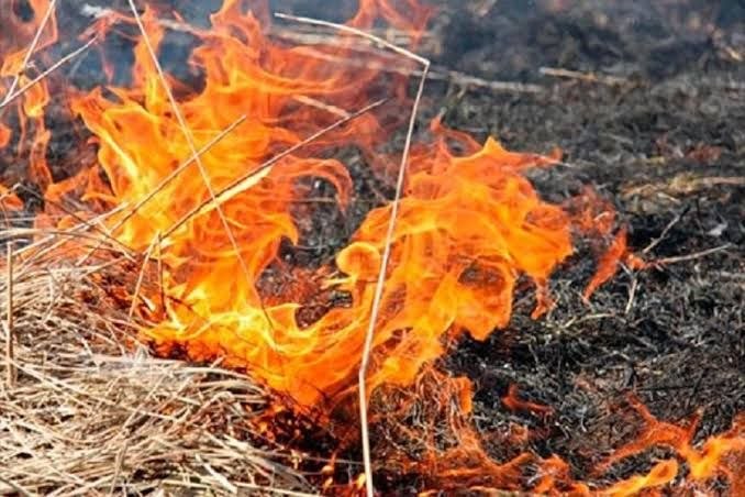 Un bărbat din Edineț, transportat la spital cu arsuri grave după ce a încercat să stingă un incendiu de vegetație